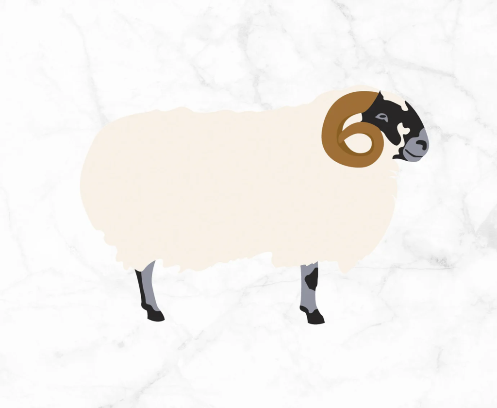 Illustration of Lonk Sheep